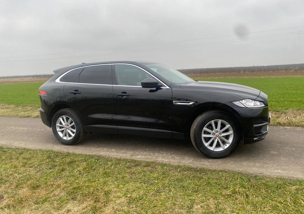 Jaguar F-Pace cena 79999 przebieg: 186000, rok produkcji 2016 z Staszów małe 704